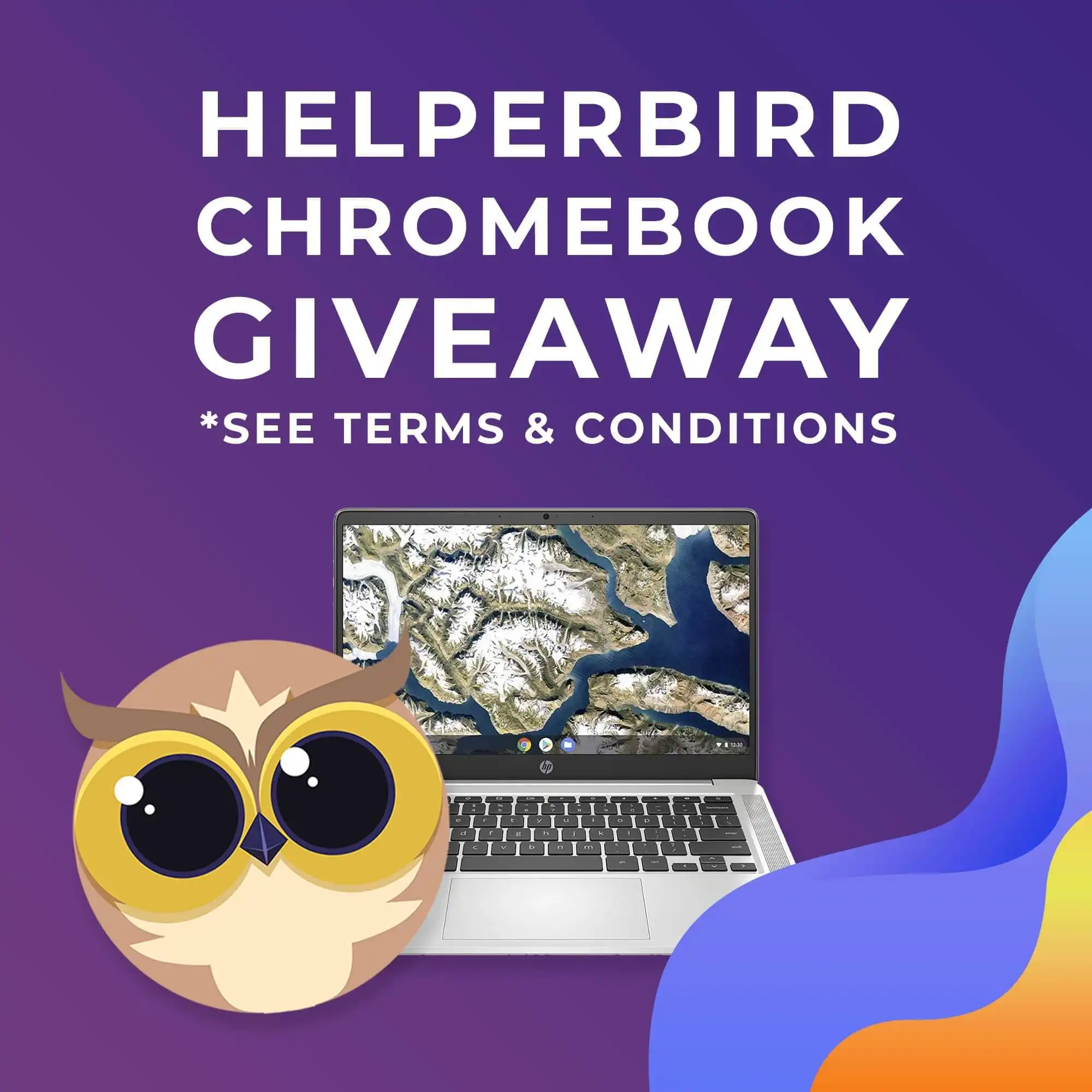Congratulations to Our Winner - Image