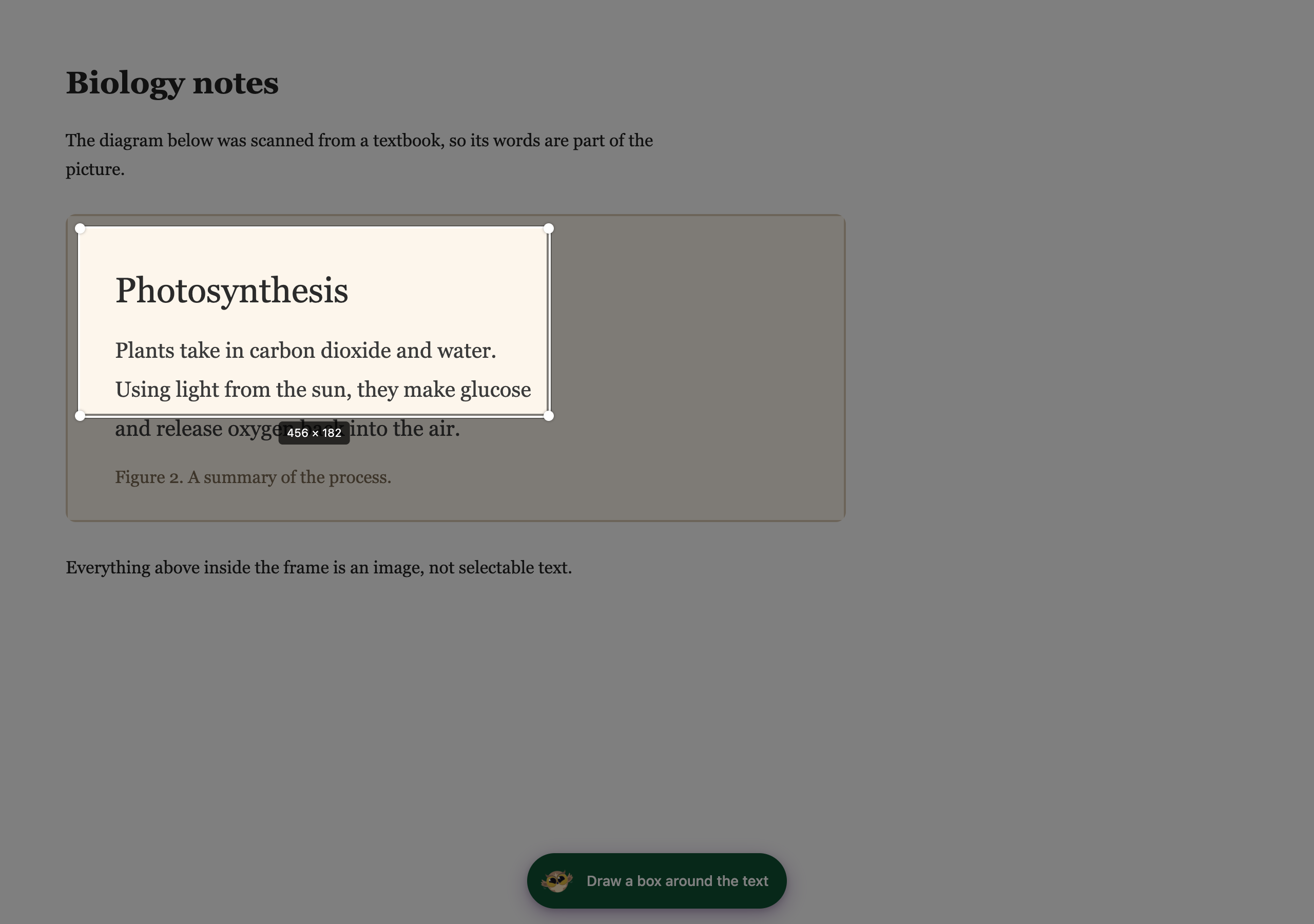A selection box being drawn around text inside an image on a web page, with the rest of the page dimmed