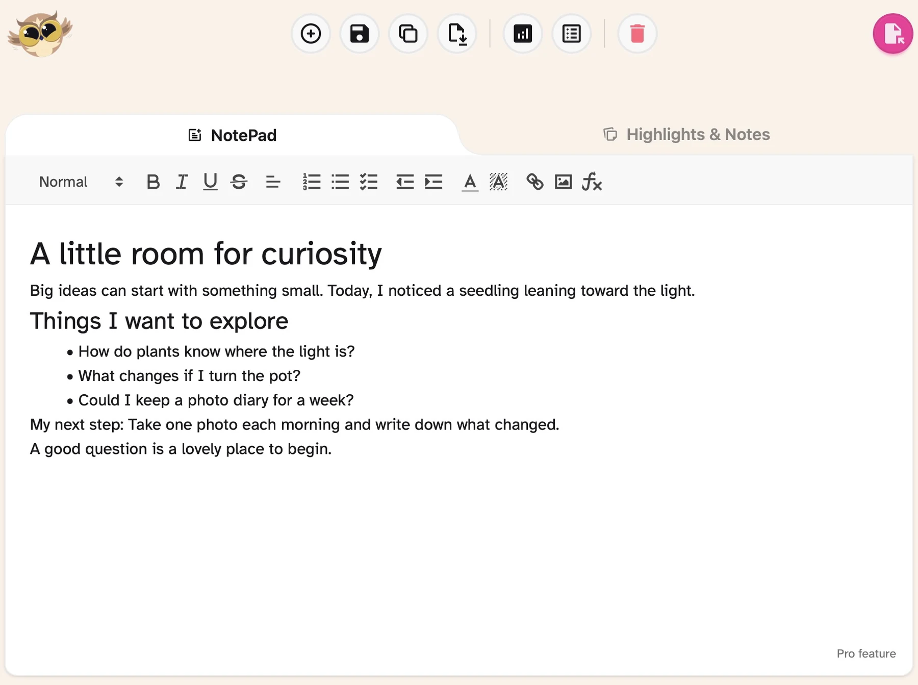 Helperbird’s Safari Notepad with an original writing sample, a heading, a list of questions, and text-formatting tools