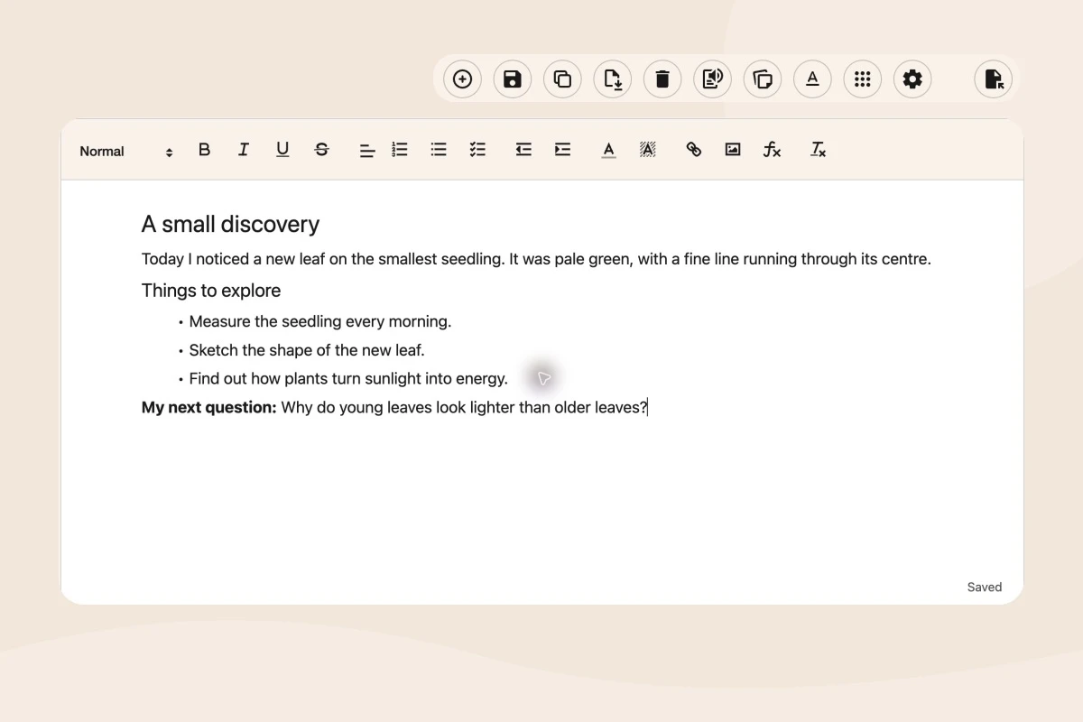 An original observation document with headings, bullet points and bold text in Helperbird NotePad, shown as a close-up of the real screenshot